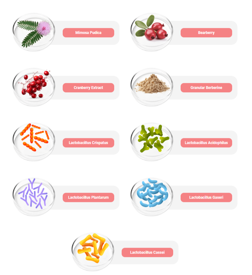 Femicore Ingredients 